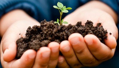 Sustentabilidade e Meio Ambiente