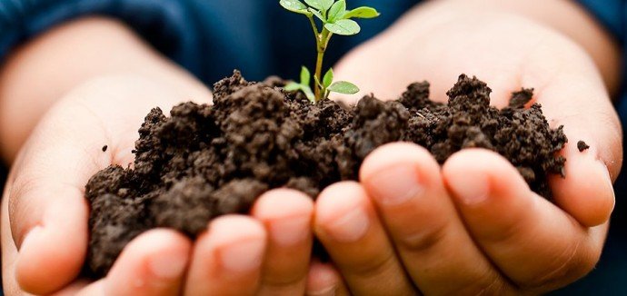Sustentabilidade e Meio Ambiente
