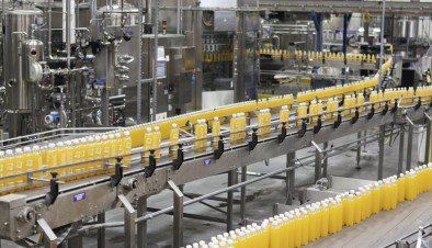 Quais setores podem se beneficiar com o uso da polpa de fruta?