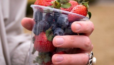 Sustentabilidade da produção de polpa de frutas