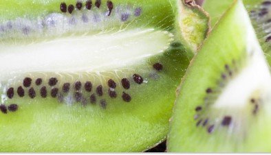 Como comprar polpa de frutas direto da fábrica