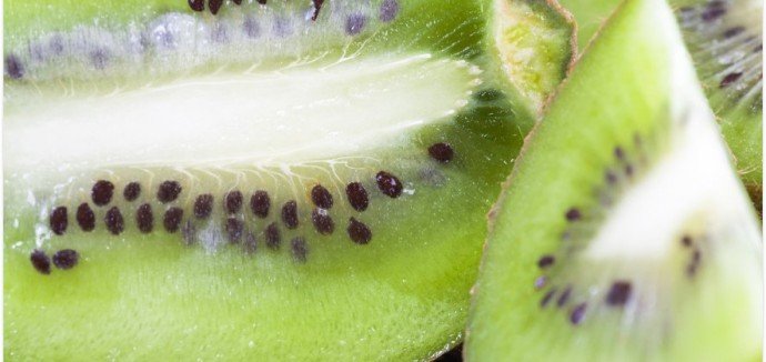 Como comprar polpa de frutas direto da fábrica
